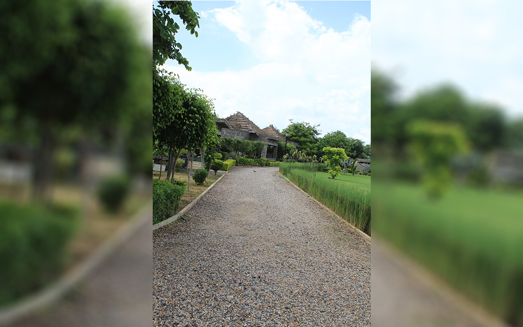 Gravel-Driveway