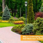 Why is Landscaping Important and How Much Does it Cost?