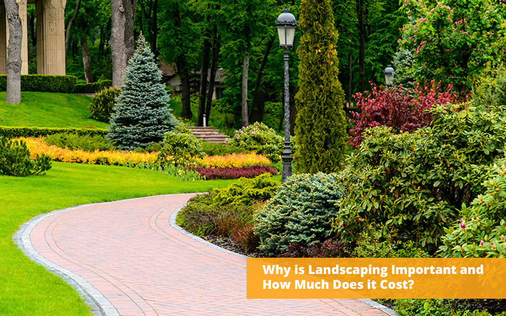 Why is Landscaping Important and How Much Does it Cost?